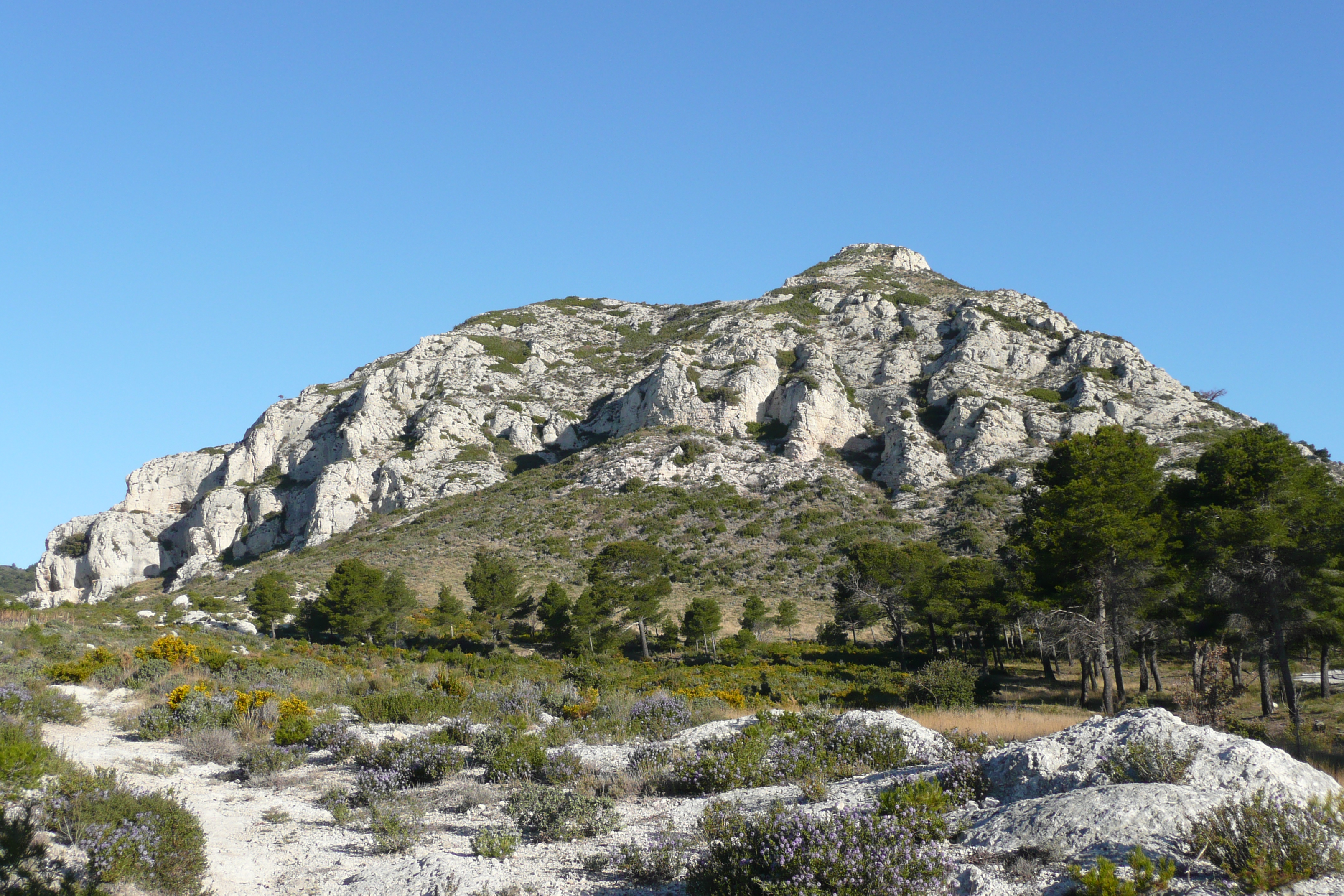 van gogh les alpilles