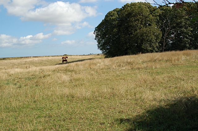 File:Manse Field - geograph.org.uk - 229910.jpg