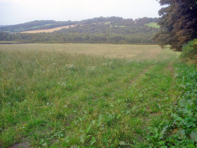 File:Meadow west of Hardwick - geograph.org.uk - 1631490.jpg