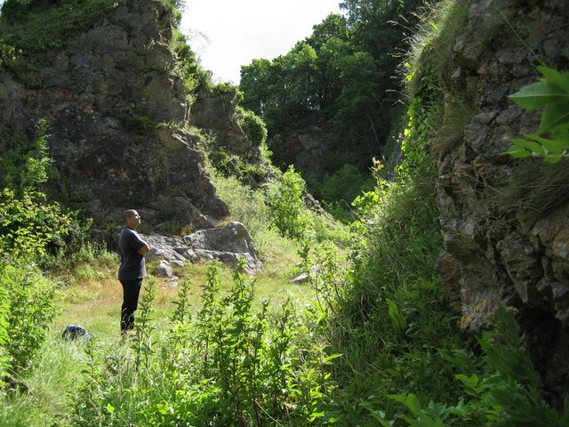 One of the Churston Quarries - geograph.org.uk - 1099623
