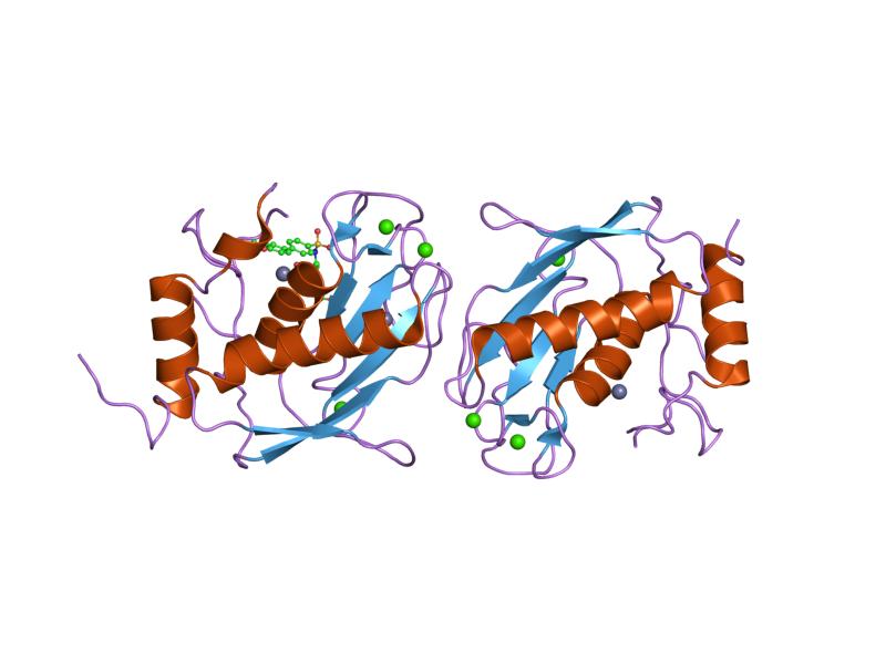 File:PDB 1hy7 EBI.jpg