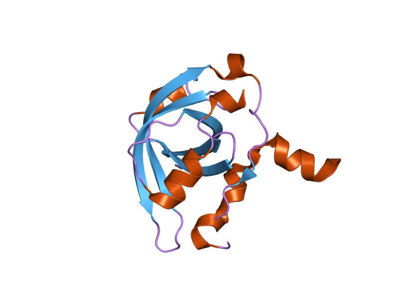 File:PDB 2b3g EBI.jpg