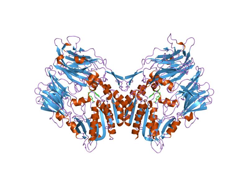 File:PDB 2ogz EBI.jpg