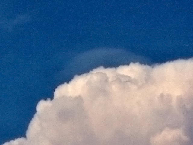 File:Pileus.jpg