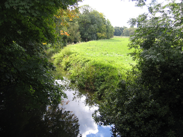 File:River Cam, Grantchester, Cambs - geograph.org.uk - 63188.jpg