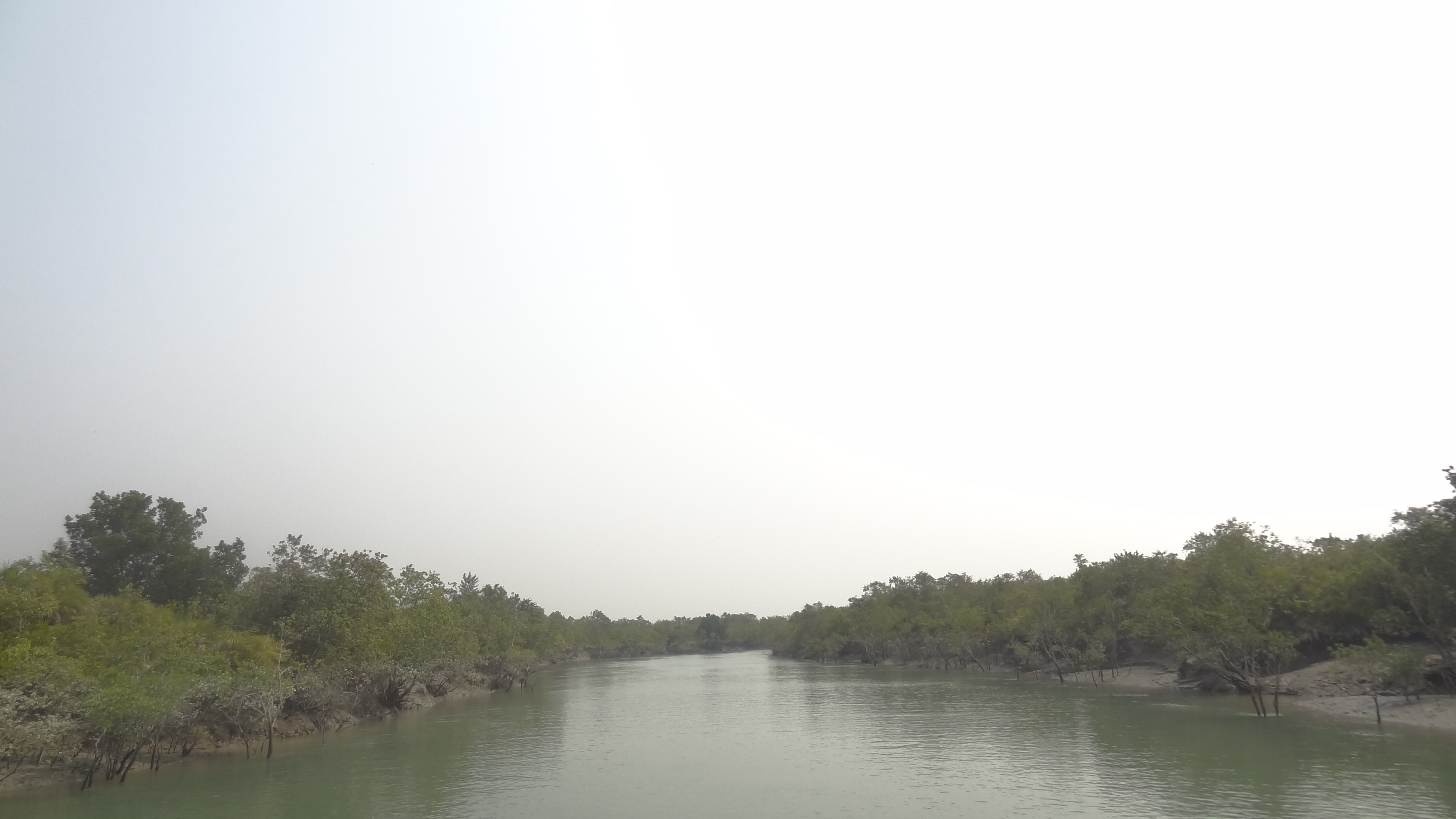 Operation sundarbans