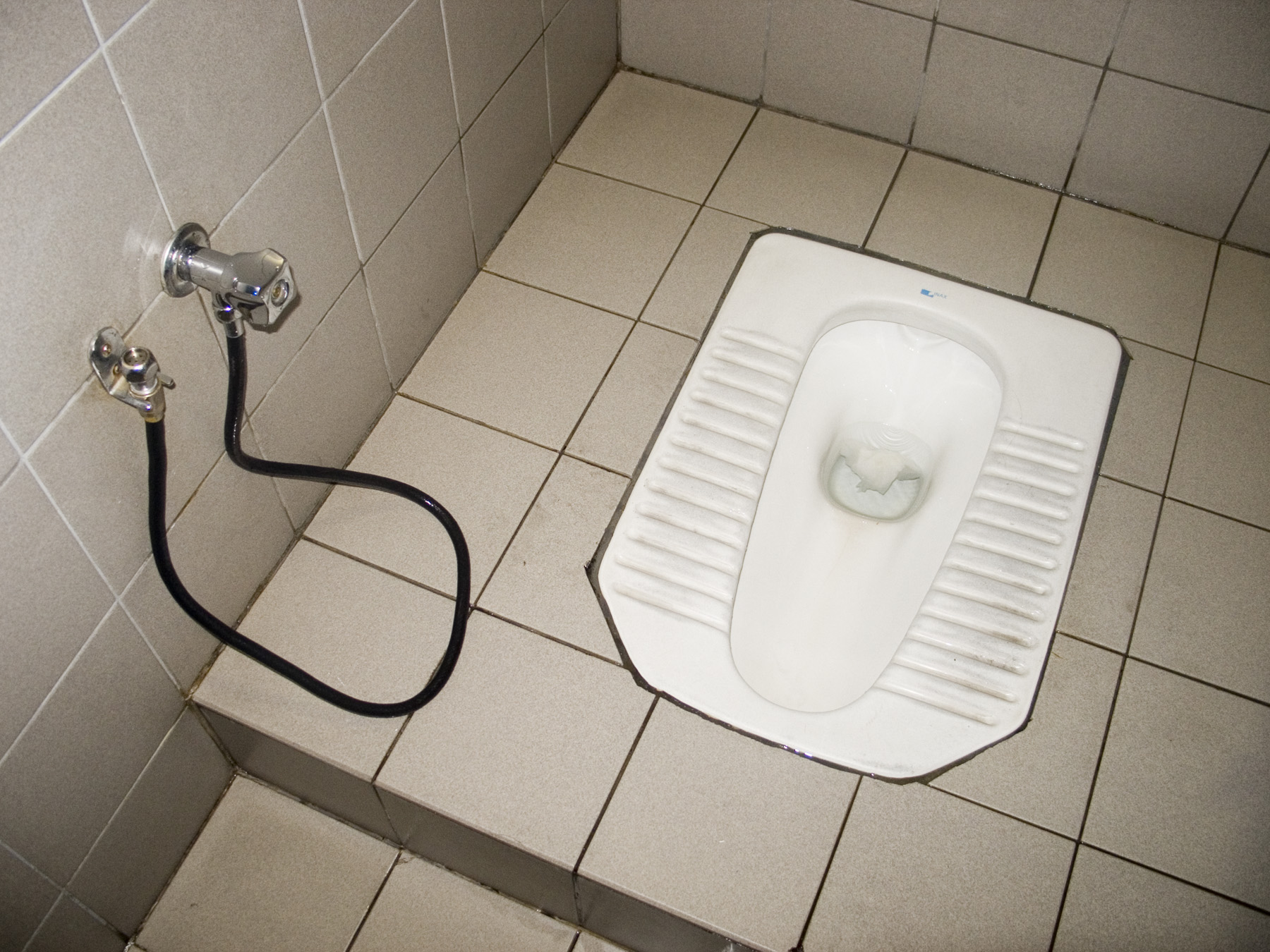 What Is a Squat Toilet?