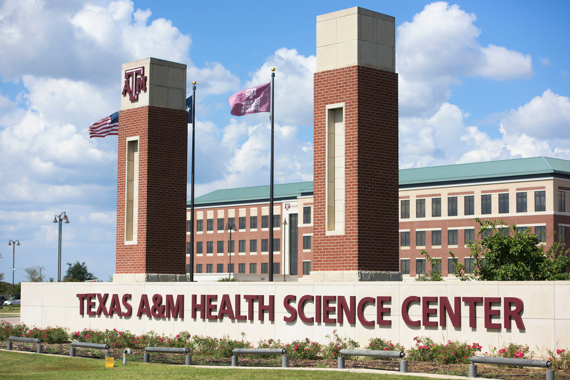 Texas A M Health Wikipedia