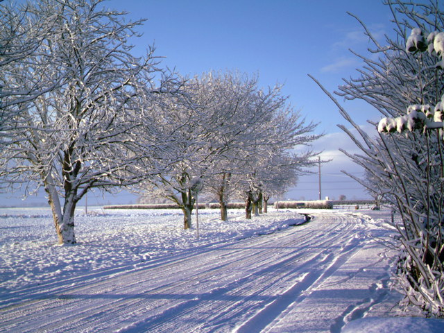 Snow covered road and trees in the countryside