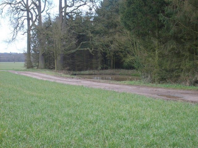 File:Wrottesley Pool - geograph.org.uk - 729367.jpg