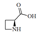 File:(S)-(-)-2-Azetidinecarboxylic acid.png