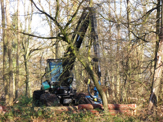 File:A Tree Felling Tractor at work in the Wendover Woods - geograph.org.uk - 1185819.jpg