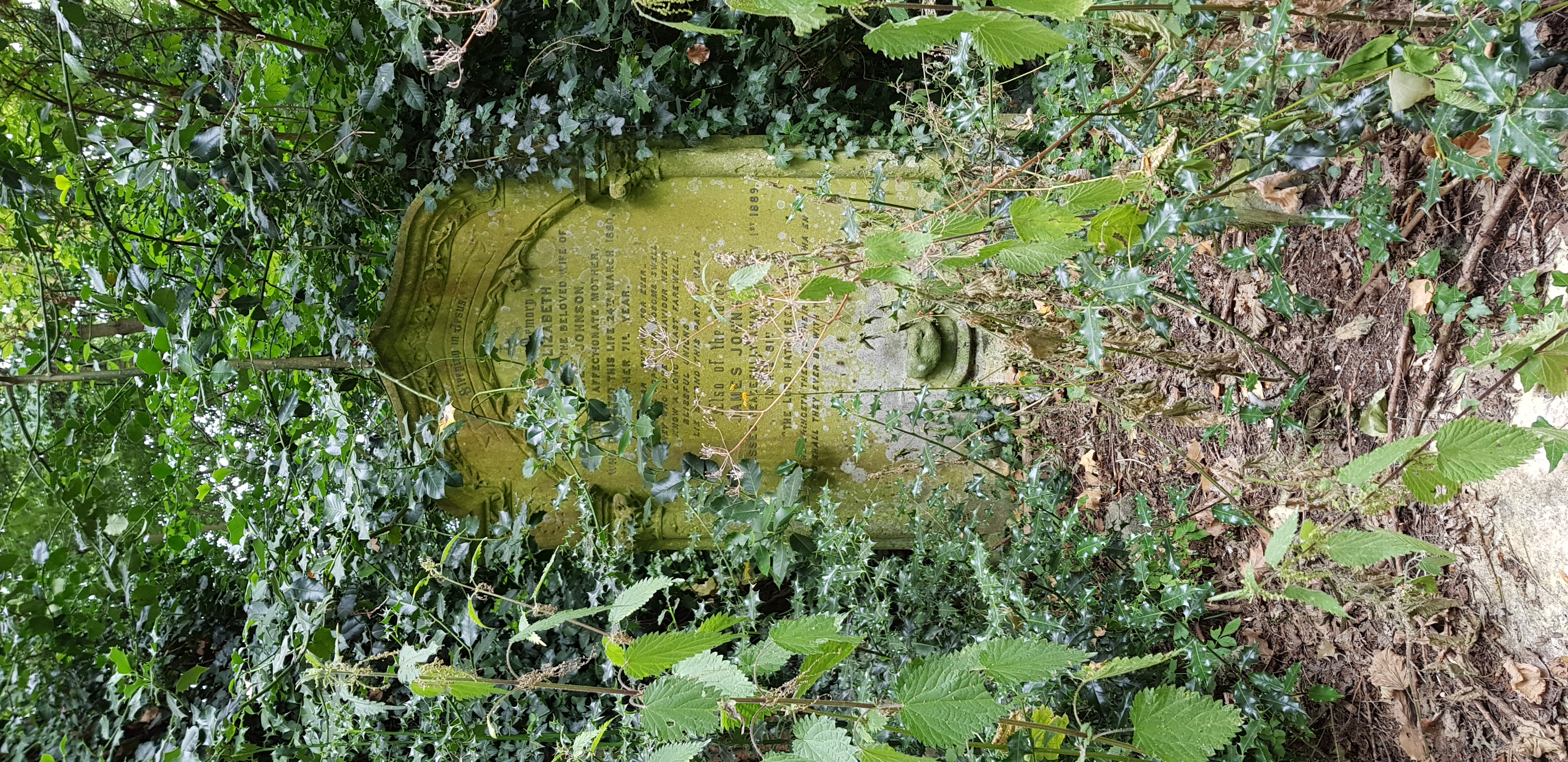 Abney park blowing off steam фото 102