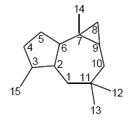 File:Africanano - numeración.png