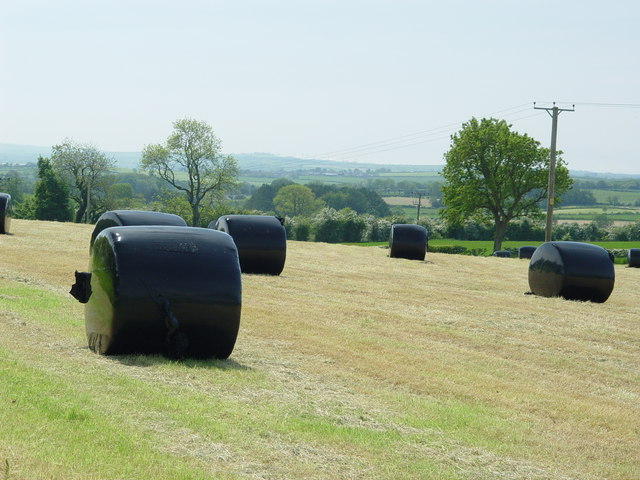 File:Bale Out - geograph.org.uk - 181513.jpg