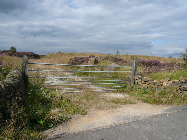 File:Beeley Moor - geograph.org.uk - 539702.jpg