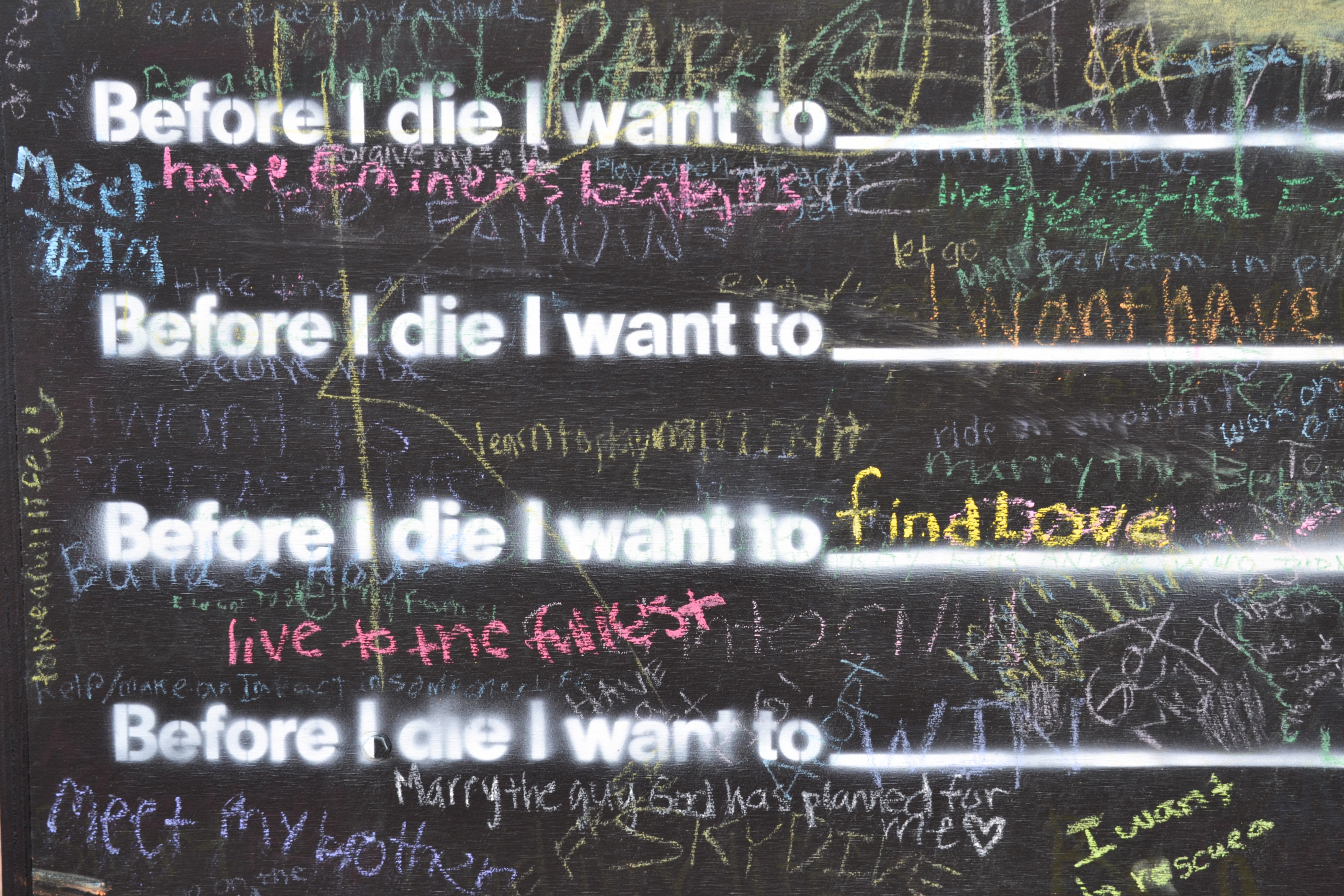 Before i die перевод. Before i die Scott. Before i die текст. Сюжет книги before i die. Песня before i die.