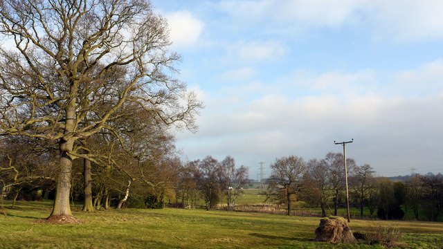 File:Blakeley Plantation - geograph.org.uk - 1123055.jpg