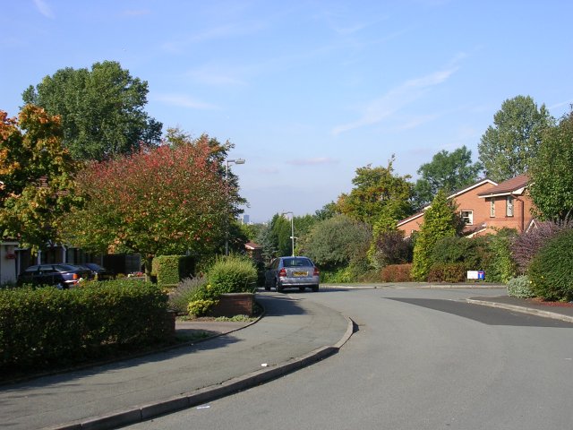 File:Bluestone Drive - geograph.org.uk - 63145.jpg