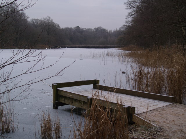 File:Cannop ponds - geograph.org.uk - 1123972.jpg