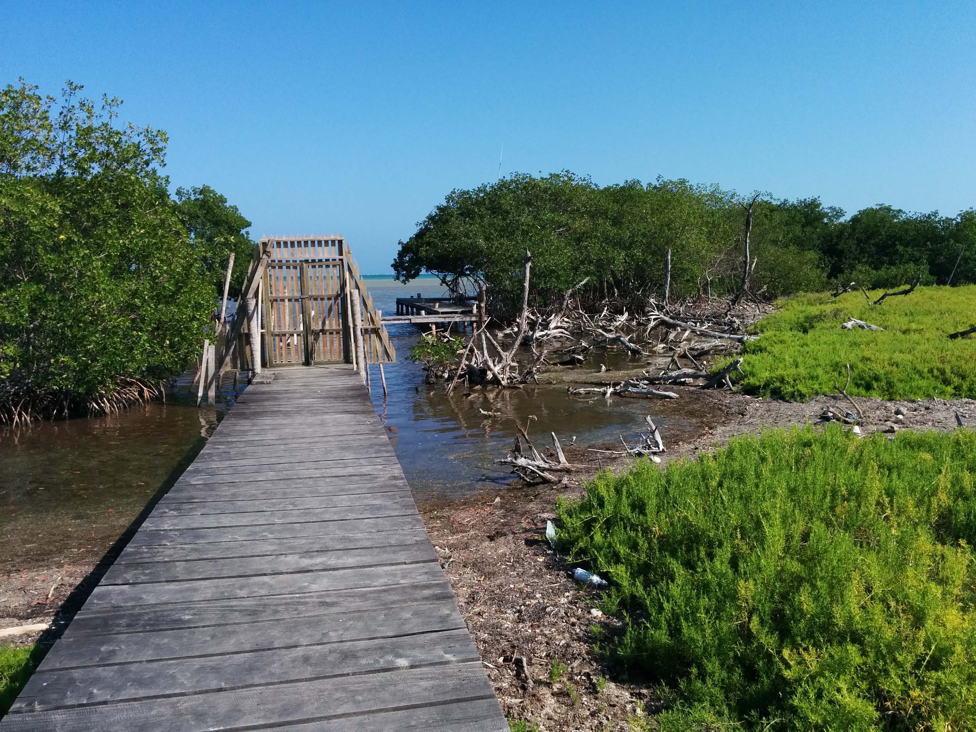 File Caye Caulker Forest Reserve 01 Jpg Wikimedia Commons