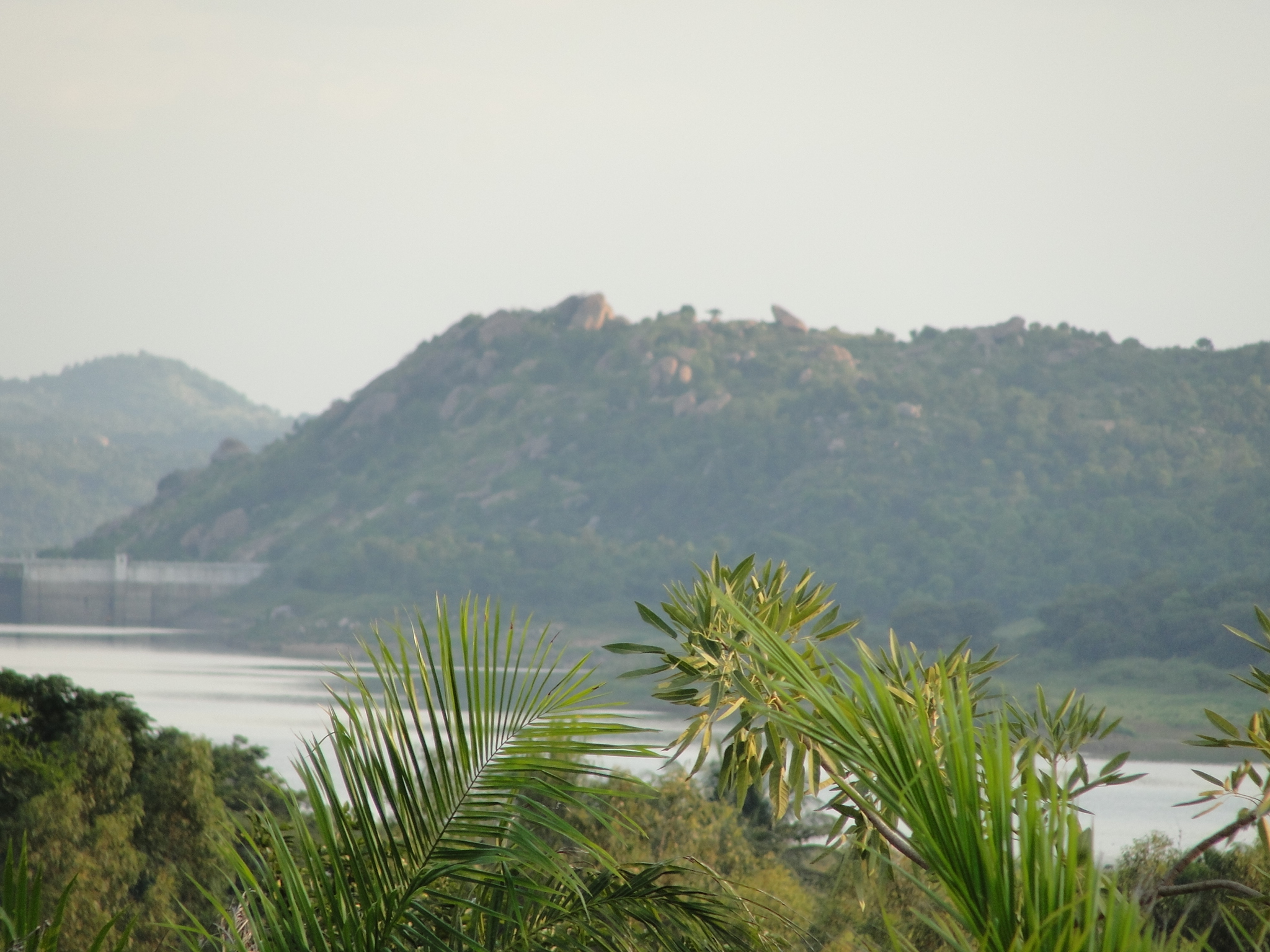 Chikmagalur, India