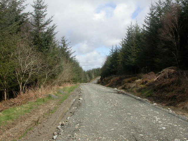 File:Cwmcynydd Bank, plantation - geograph.org.uk - 1244296.jpg