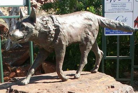 File:Dampier Red Dog, Western Australia (cropped).jpg