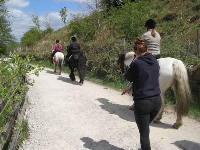 Equine traffic - geograph.org.uk - 4951523