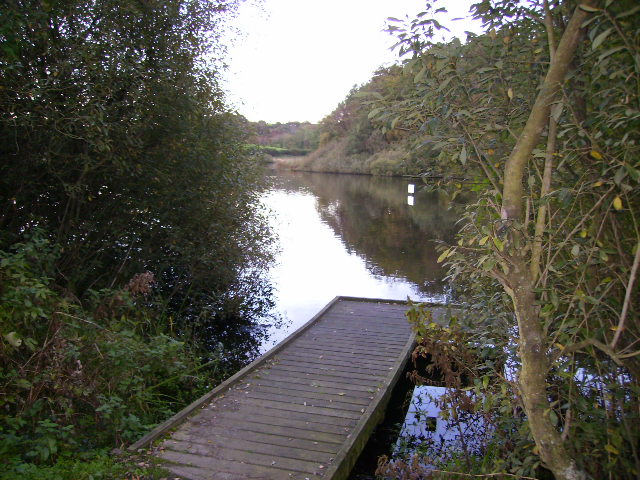 File:Fishing platform at Throxenby Mere - geograph.org.uk - 266387.jpg