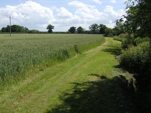 File:Footpath by Wood Barn Farm - geograph.org.uk - 473594.jpg