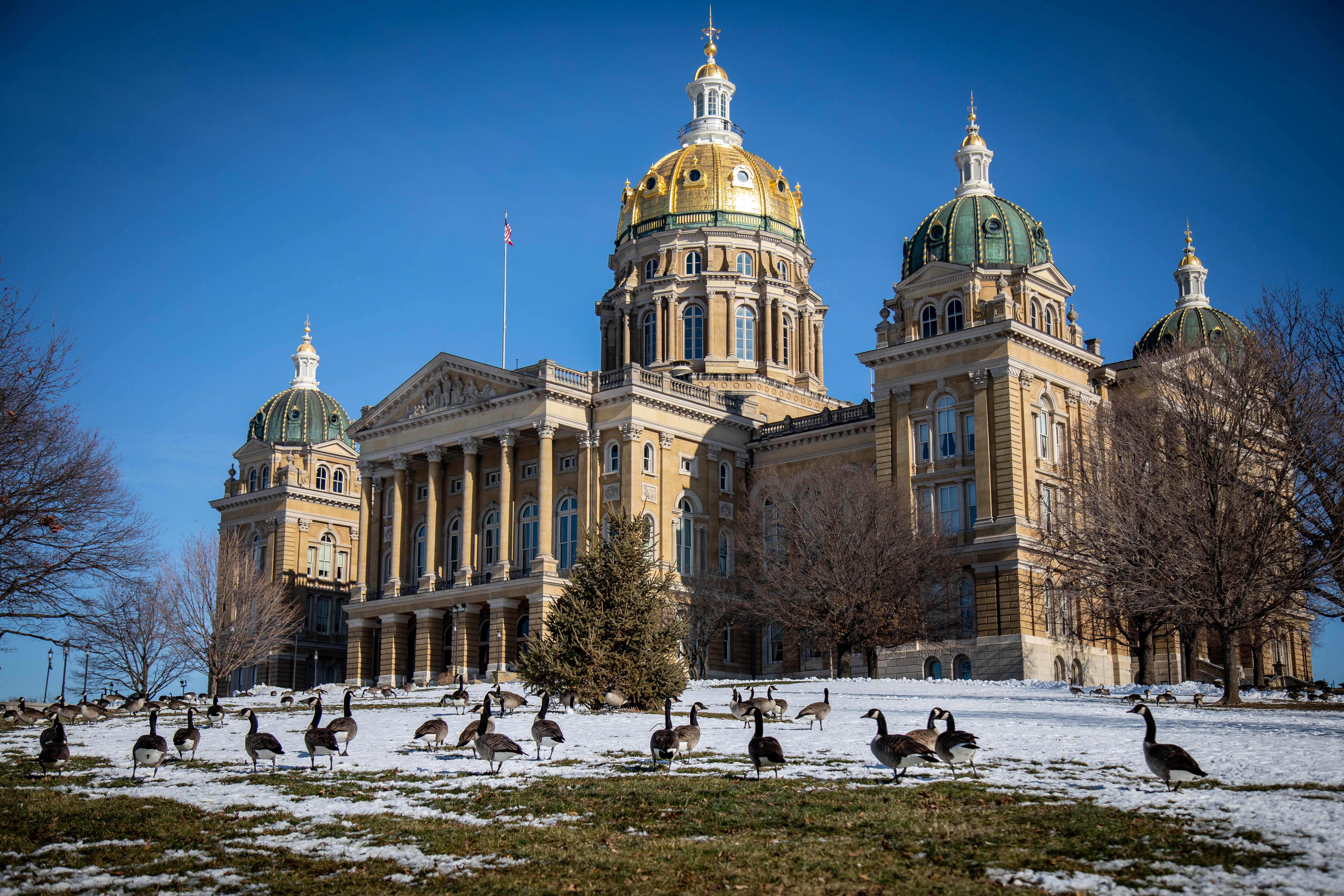 Fowl Scene at the Iowa Capitol (50850152211).jpg. 