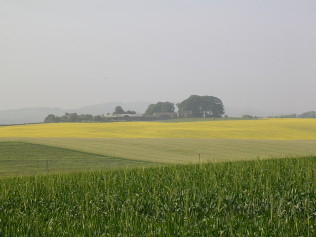 File:Foxton - geograph.org.uk - 186452.jpg