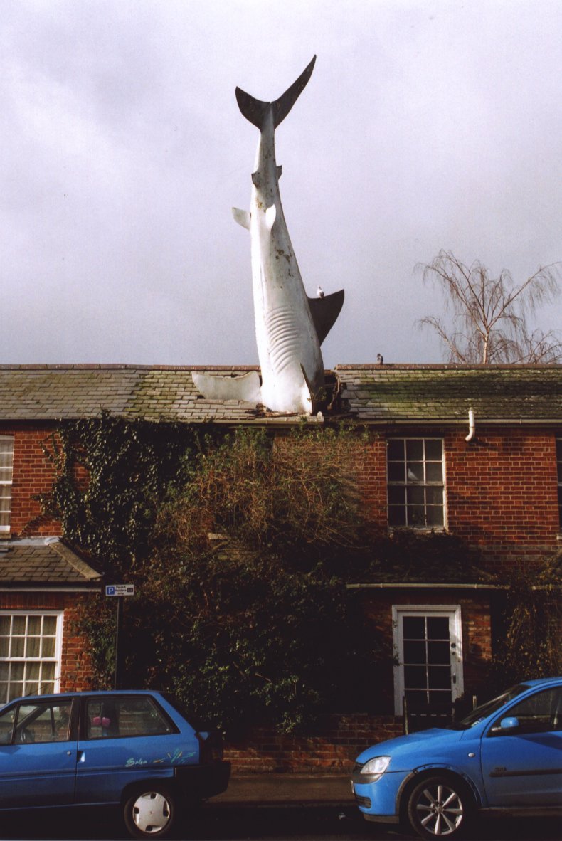 https://upload.wikimedia.org/wikipedia/commons/8/8d/Headingtonsharkfront.jpg