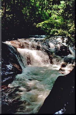 <span class="mw-page-title-main">Hemlock Falls</span> Waterfall in Rabun County, Georgia