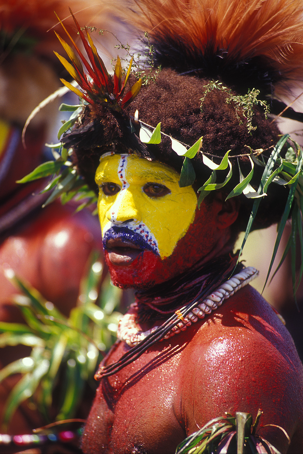 The Huli are an indigenous Melanesian ethnic group who reside in Hela Province of Papua New Guinea. They speak mainly Huli and Tok Pisin; many also speak some of the surrounding languages, and some also speak English. They are one of the largest cultural groups in Papua New Guinea, numbering over 250,000 people (based on the population of Hela of 249,449 at the time of the 2011 national census).The Huli are keenly aware of their history and folk-lore as evidenced in their knowledge of family genealogy and traditions. Unlike many other Highland peoples, they have not relinquished much of their cultural expressions to the new and innovative ways of the colonizers and outsiders who settled to live among them in 1951.
They live in the Tagari River basin and on the slopes of the surrounding mountain ranges at an altitude of about 1,600 meters above sea level. The Huli live in a land of perpetual Spring where it rains seven out of ten days and where the temperature ranges from eighty degrees F. during the day to forty-five F. during the night. Occasional frosts do blanket the valley and sometimes destroy the people's mounded gardens. 
The Huli landscape consists of patches of primary forests, reed-covered marshes, kunai grasslands, scrub brush, and mounded gardens traversed by rivers, small streams and man-made ditches which serve as drainage canals, boundary markers, walking paths, and defensive fortifications.