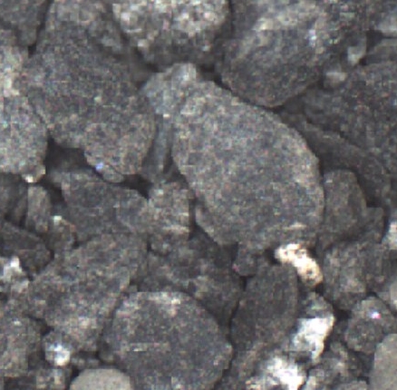 File:Kaskapau Shale.JPG