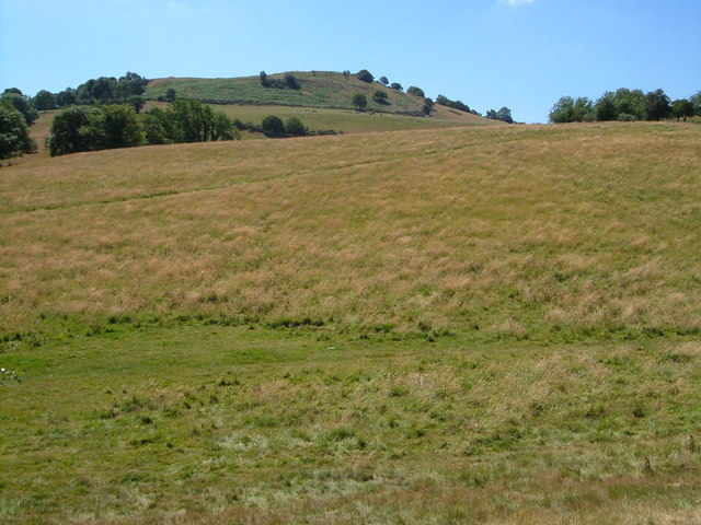 File:Kempster's Hill from Pritchard's Hill - geograph.org.uk - 204765.jpg