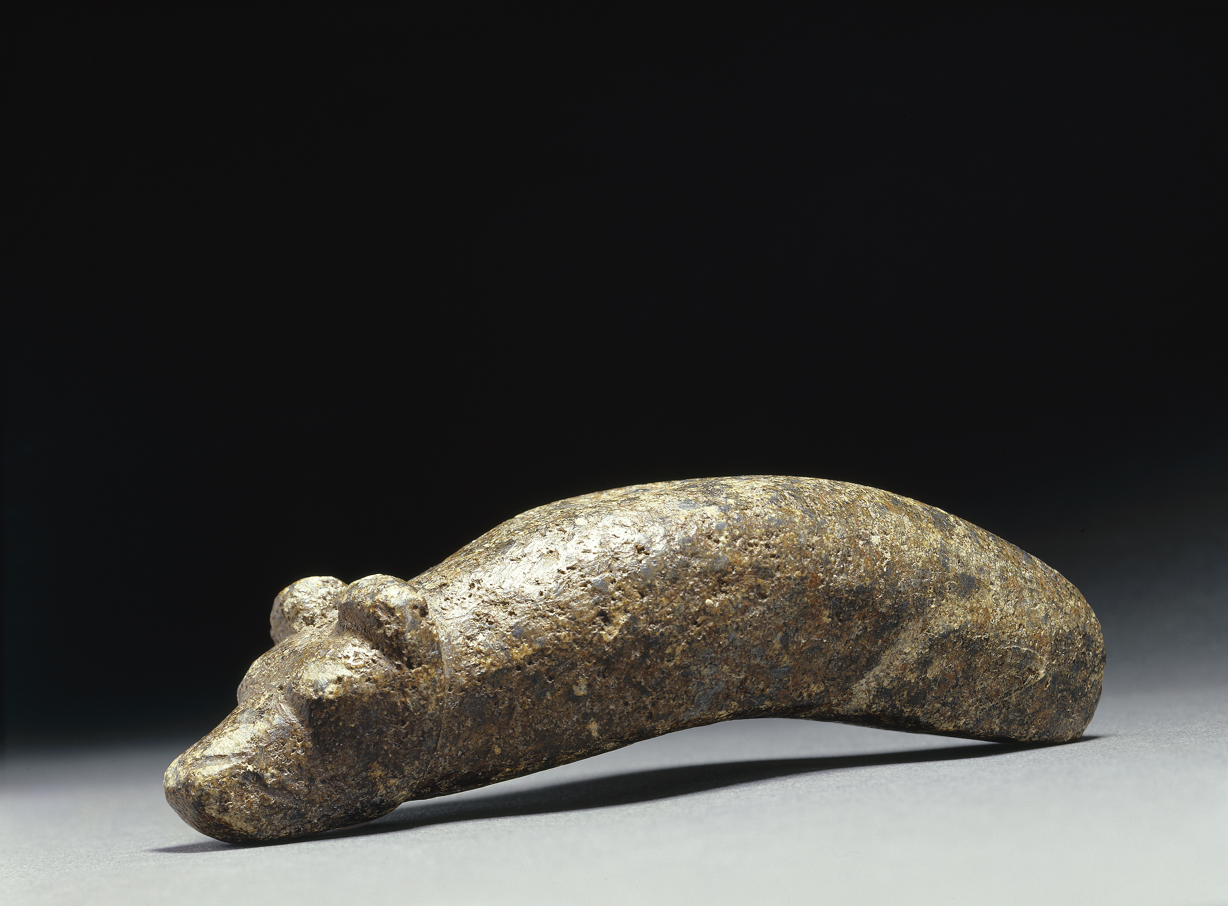 Stone Age bear head gavel found in [[Paltamo
