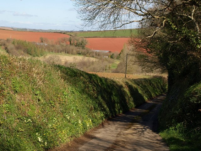 File:Lane from Bickleigh Farm - geograph.org.uk - 1242889.jpg