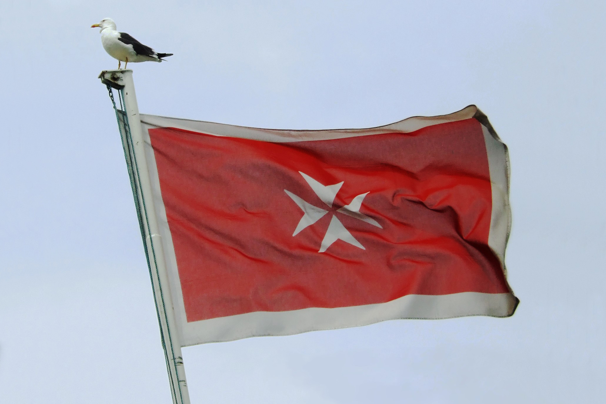 Flagge, rot (warnflagge, protestflagge) - Schiffsbedarfonline