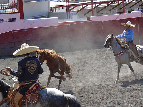 File:Mexican charro forefooting on horseback.jpg