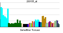 SETDB1