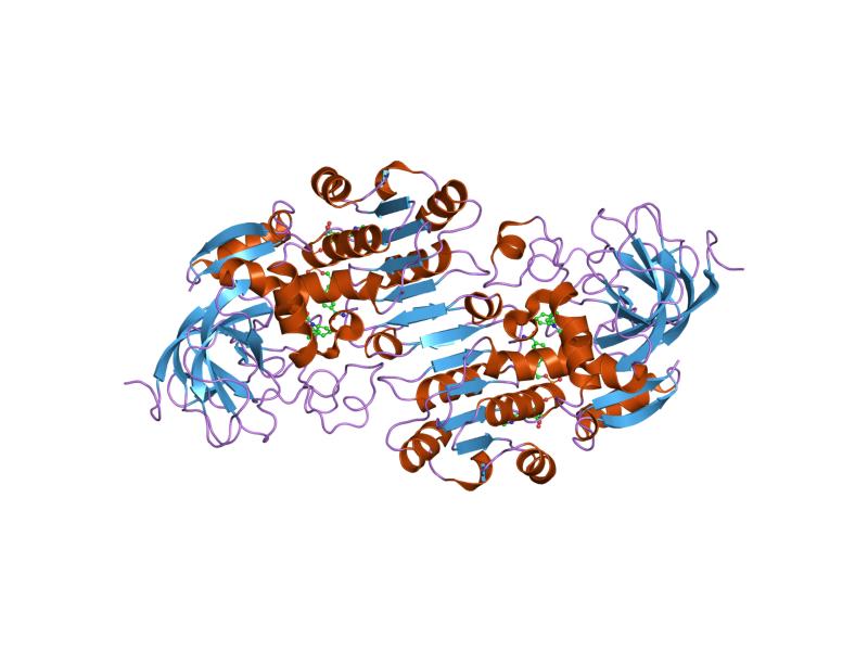 File:PDB 1u3t EBI.jpg