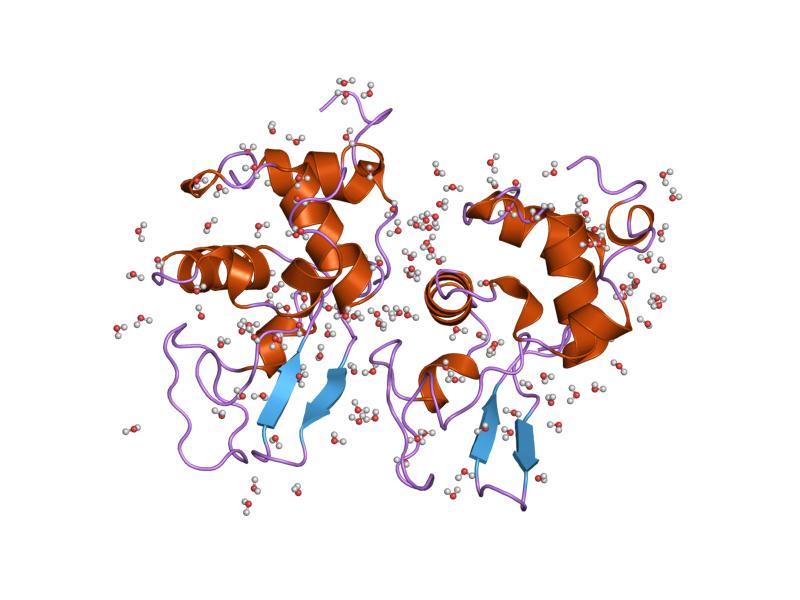 File:PDB 2mec EBI.jpg