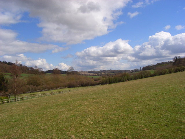 File:Pasture, Piddington - geograph.org.uk - 768989.jpg