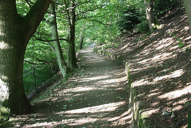 File:Path up to Herefordshre Beacon - geograph.org.uk - 1384576.jpg