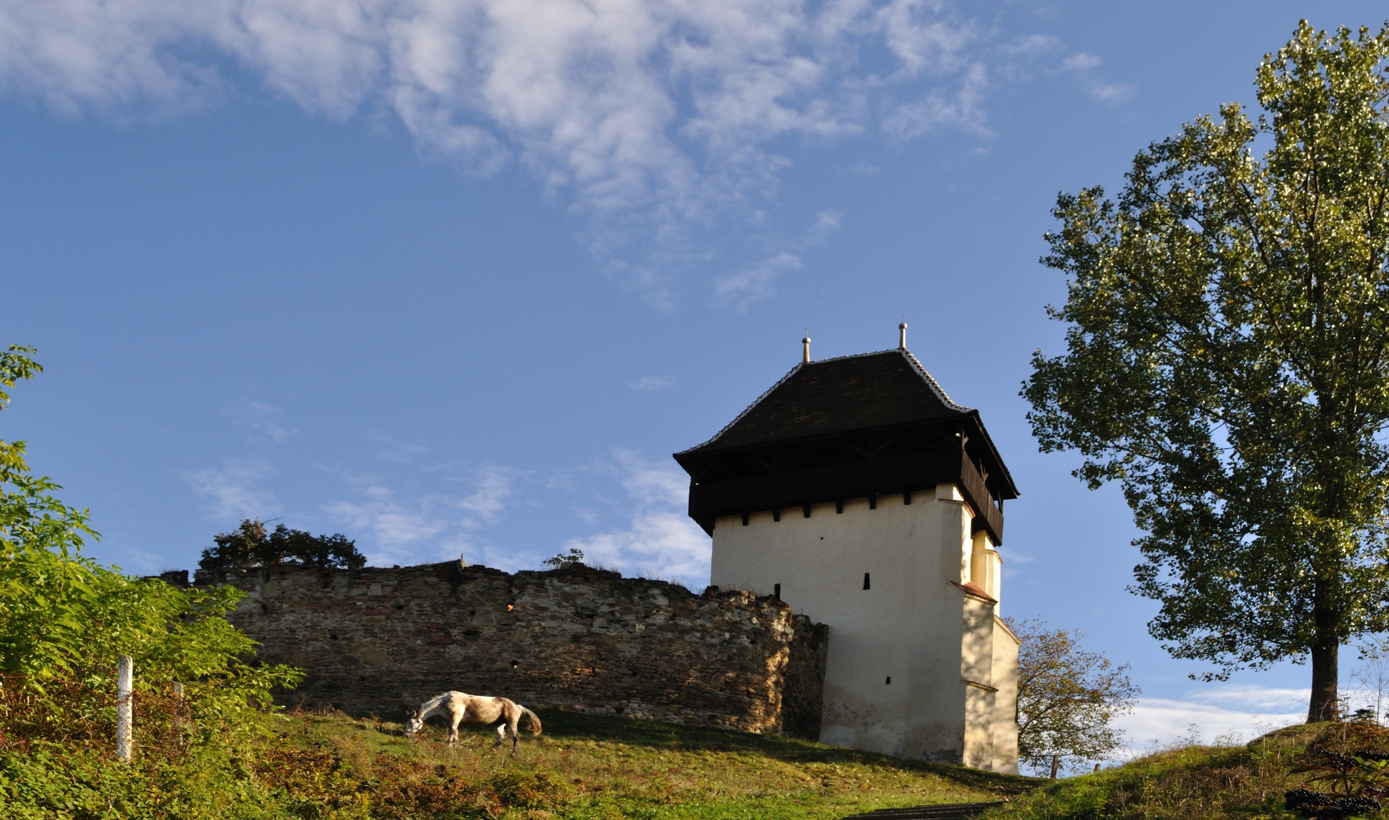 Biserica fortificată din Țapu