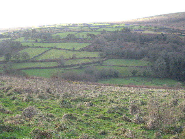 Rough pasture on Ramsley Hill - geograph.org.uk - 2937241