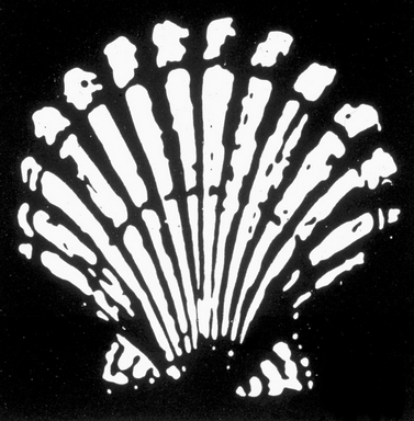 File:Shell logo 1904.png